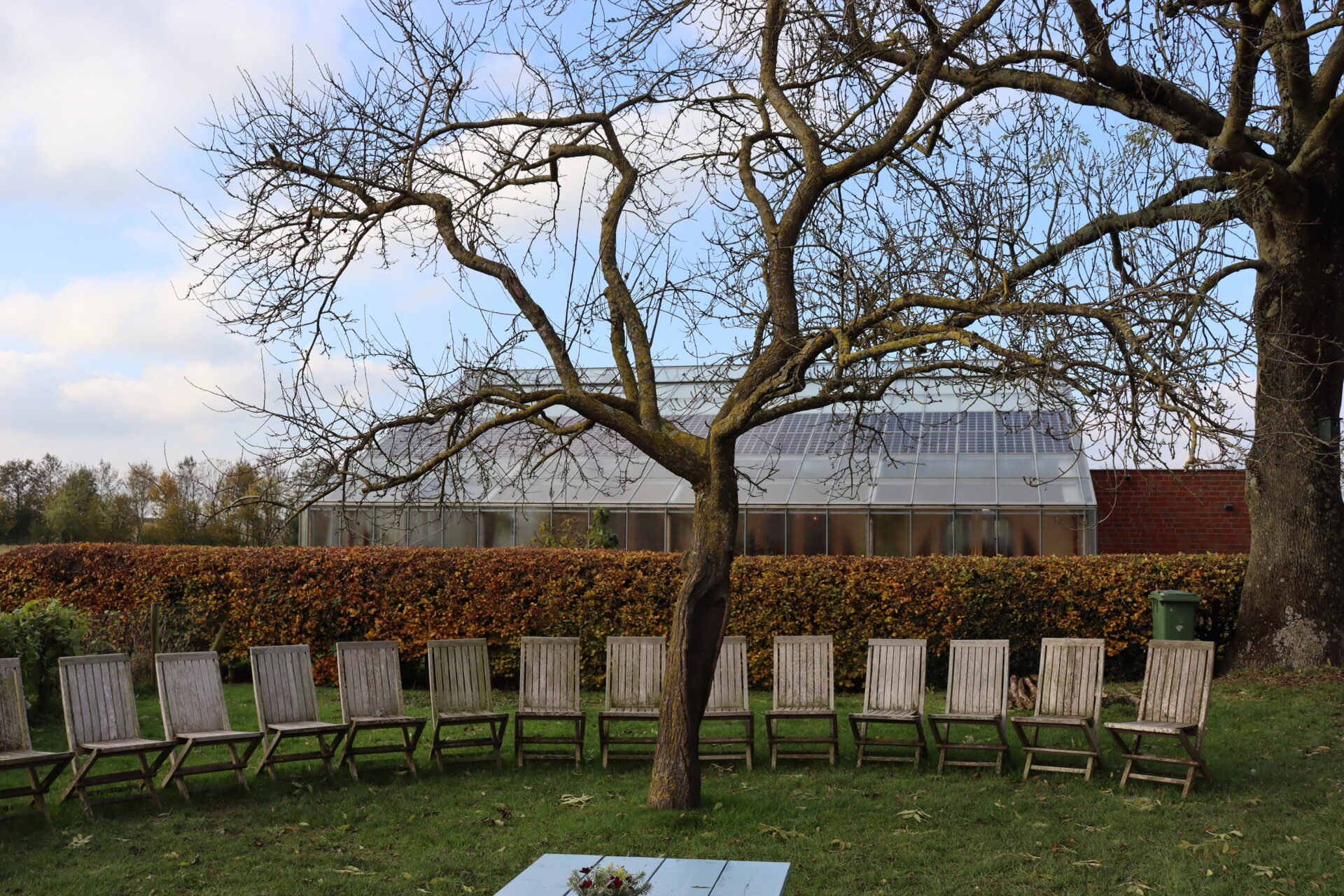 cercle de chaises dans le jardin de la démence