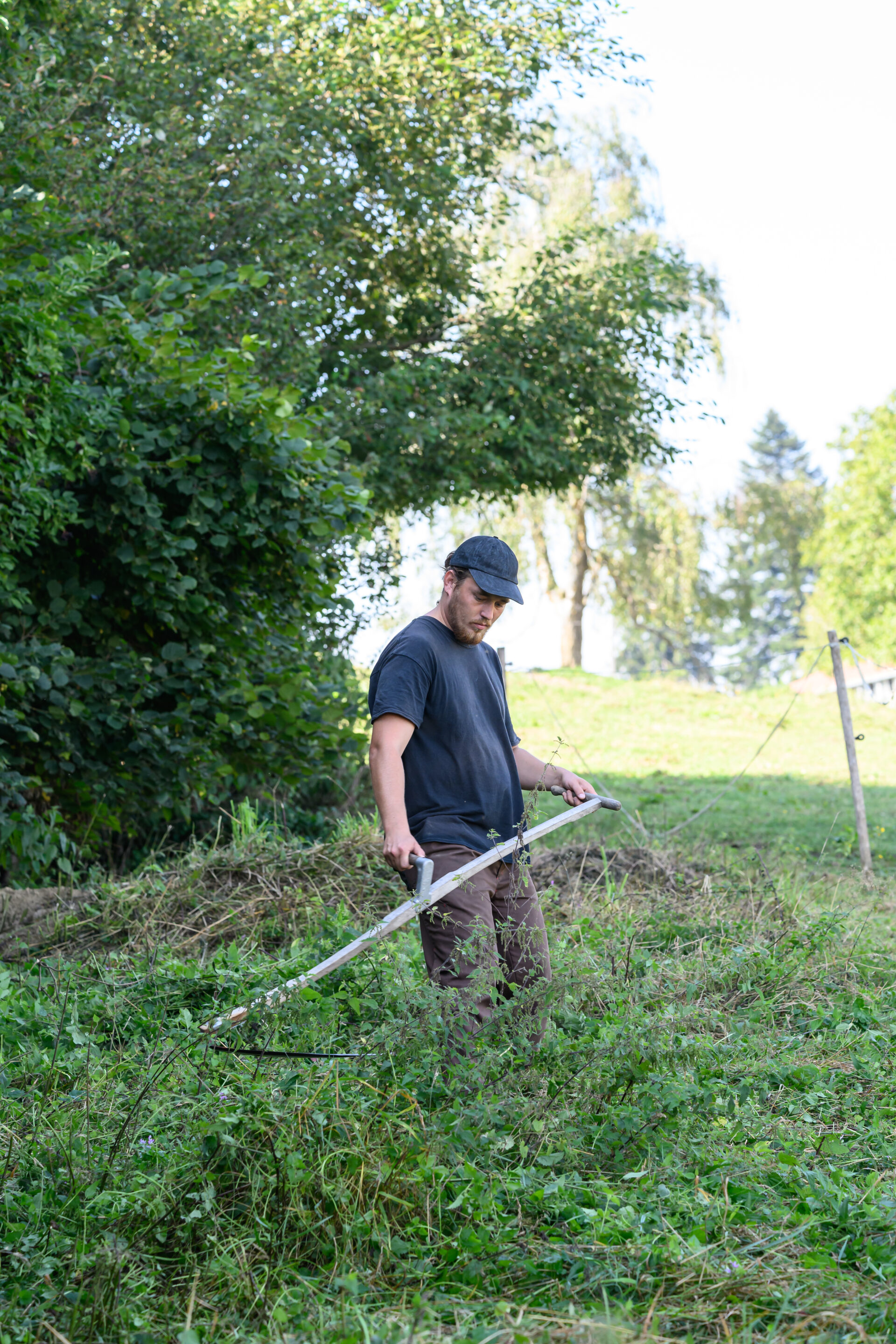 Jemand mäht mit der Sense eine Wiese vor einem Waldstück