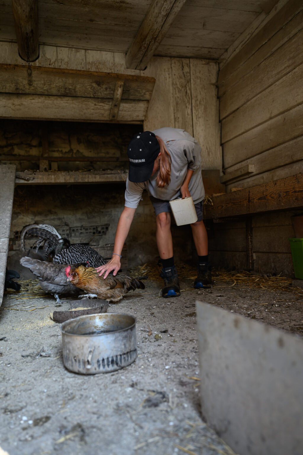 Heine Person streichelt ein Huhn im Hühnerstall