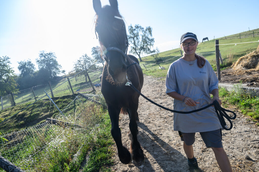 une femme se promène avec un cheval