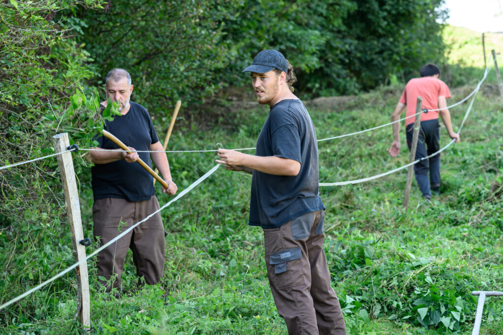 trois personnes construisent ensemble une clôture de pâturage