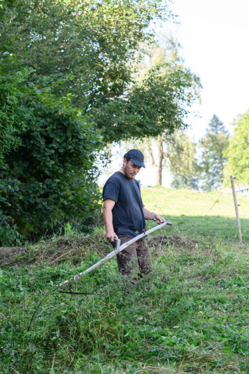 Jemand mäht mit der Sense eine Wiese vor einem Waldstück