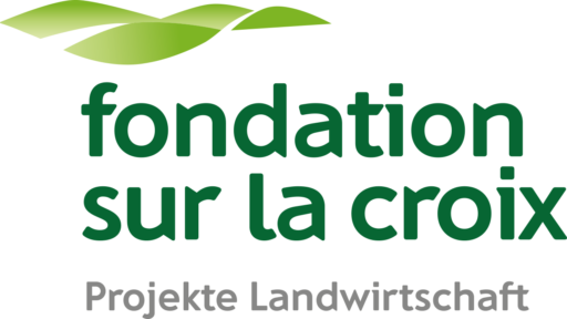 Logo der Fondation sur la croix