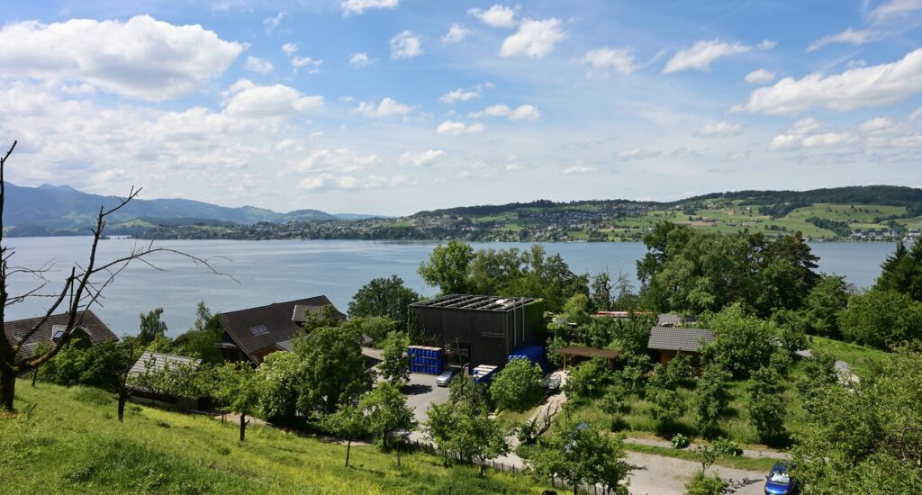 Aussicht auf grüne Wiese mit Bäumen, einen Teile des Zugersees, Gebäude und das Ufer der anderen Seeseite